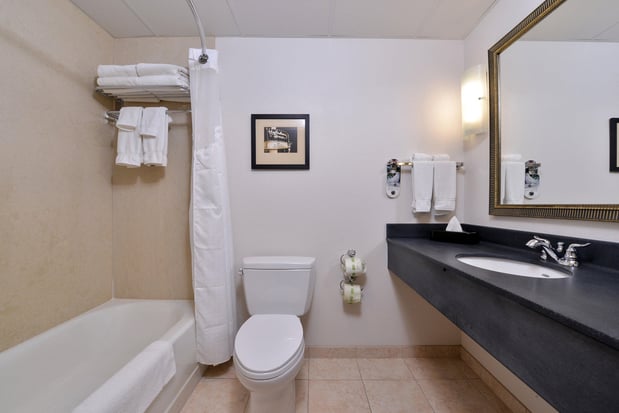 Images Holiday Inn Madison at the American Center by IHG