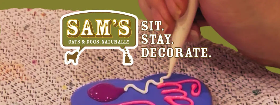 Image of Local Pet Event Sit. Stay. Decorate. | A Dog Biscuit Decorating Experience Nearby