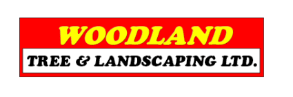 Images Woodland Tree & Landscaping Ltd