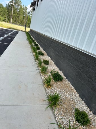 Images Juan Mata Lawn Care Services