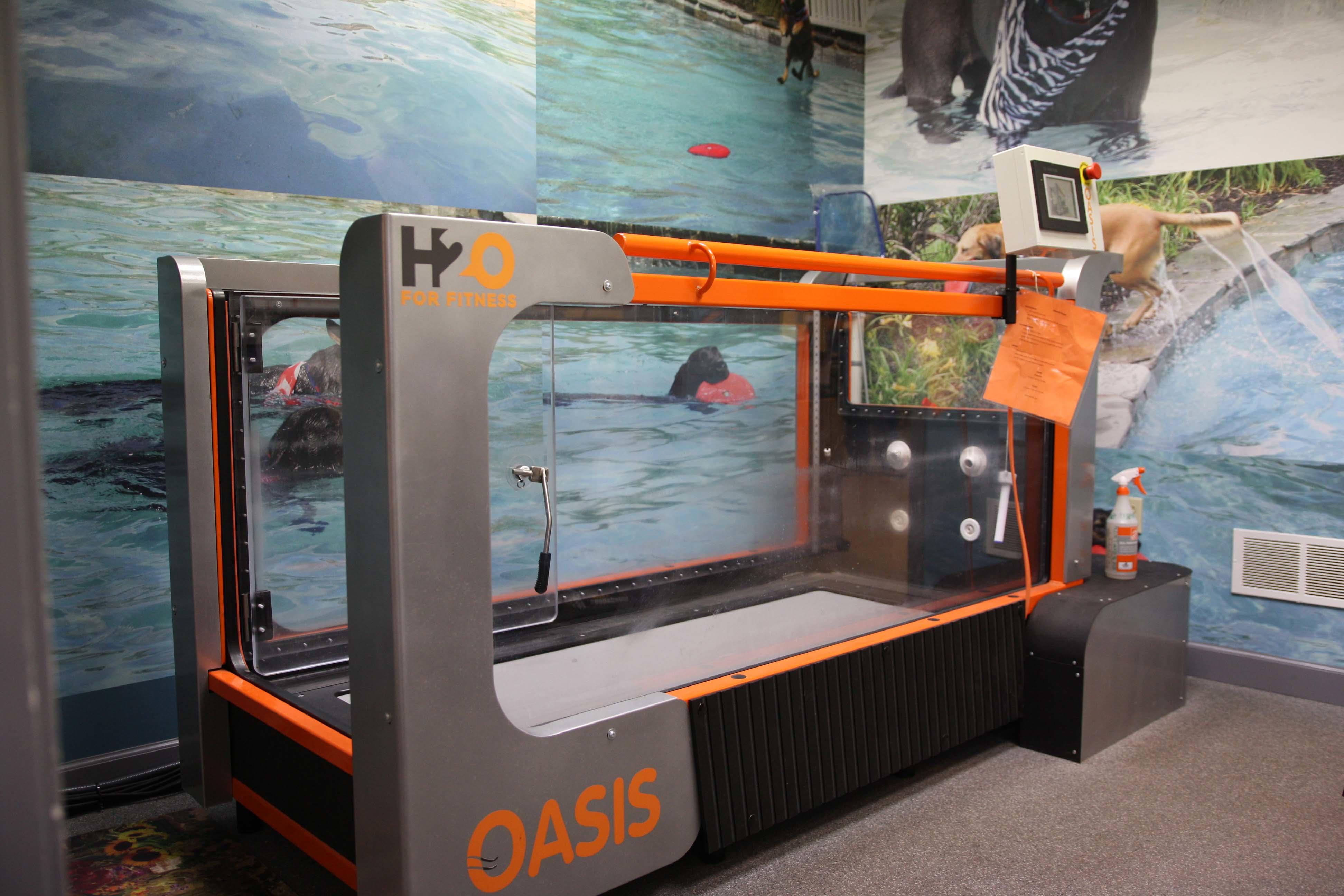 This is our state of the art Oasis hydrotherapy treadmill. This is a great tool for providing your pets with high intensity fitness training and weight control, with very low impact to their joints and physical condition. We are proud to be one of the only veterinary clinics in our area that offer this service.