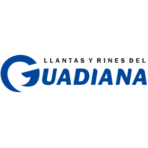 Llantas y Rines del Guadiana Gomez Palacio Logo