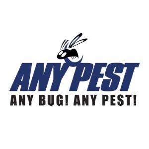 Any Pest