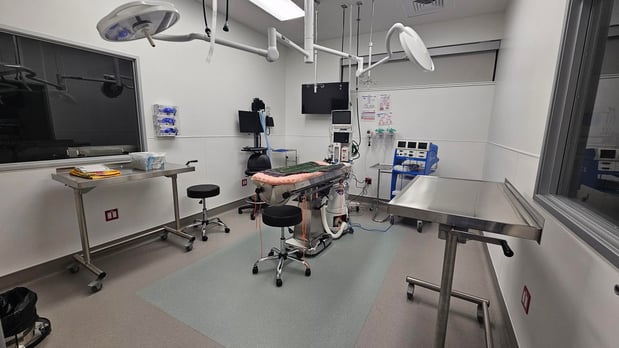 Images VCA Emergency Animal Hospital & Referral Center