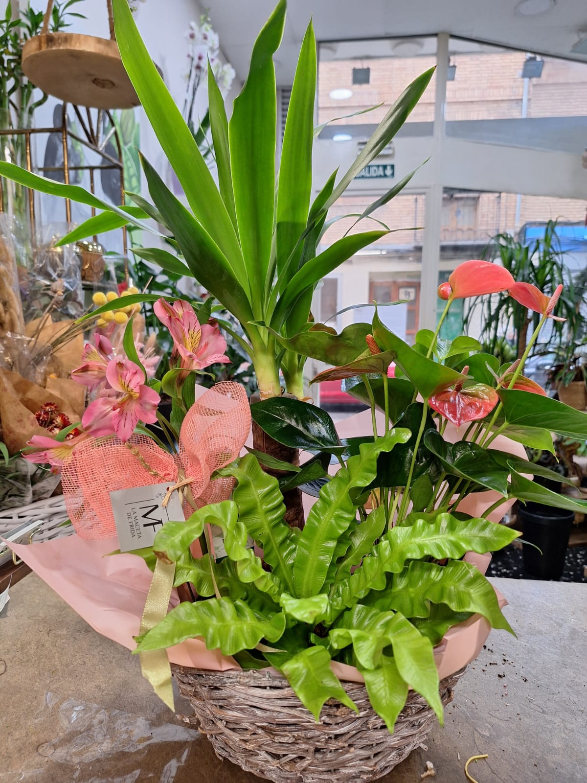 Images Floristería La Maceta de Frida