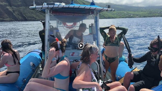 Images Kona Snorkel Trips