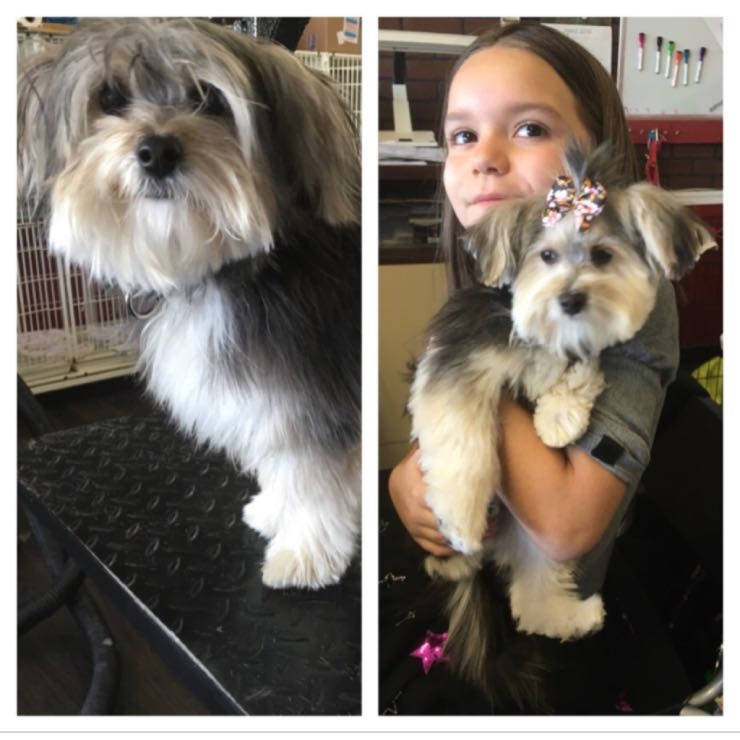 Coco looking handsome and getting extra love from Marissa 