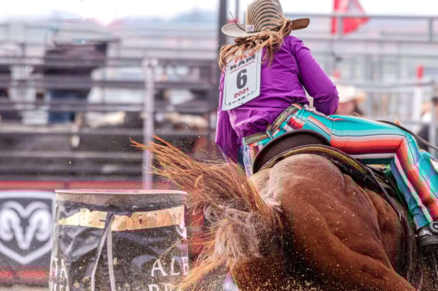 Images Equine Coach, LLC