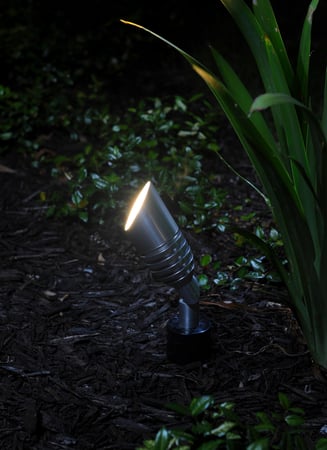 Images Wonderly Lights of Morristown NJ