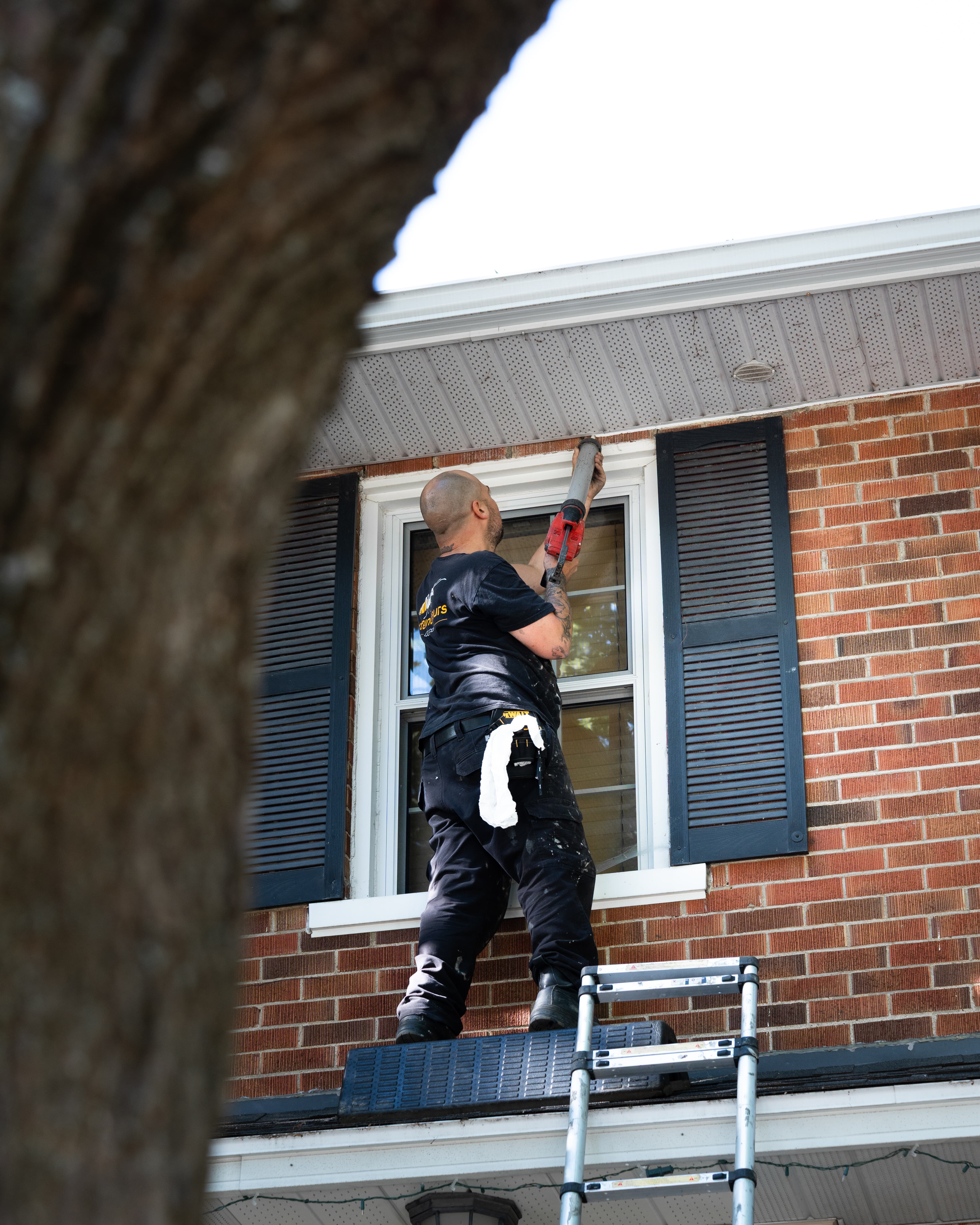 Images Exterminateurs Québec
