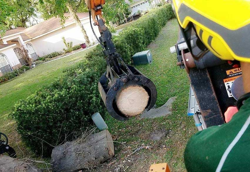 Valid Impressions Tree Service LLC Image