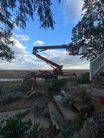 Images Magana Tree Service