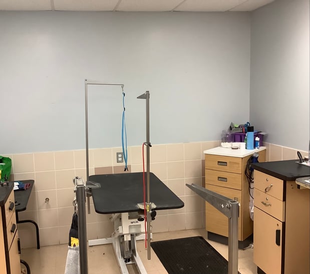 Images Petco Grooming