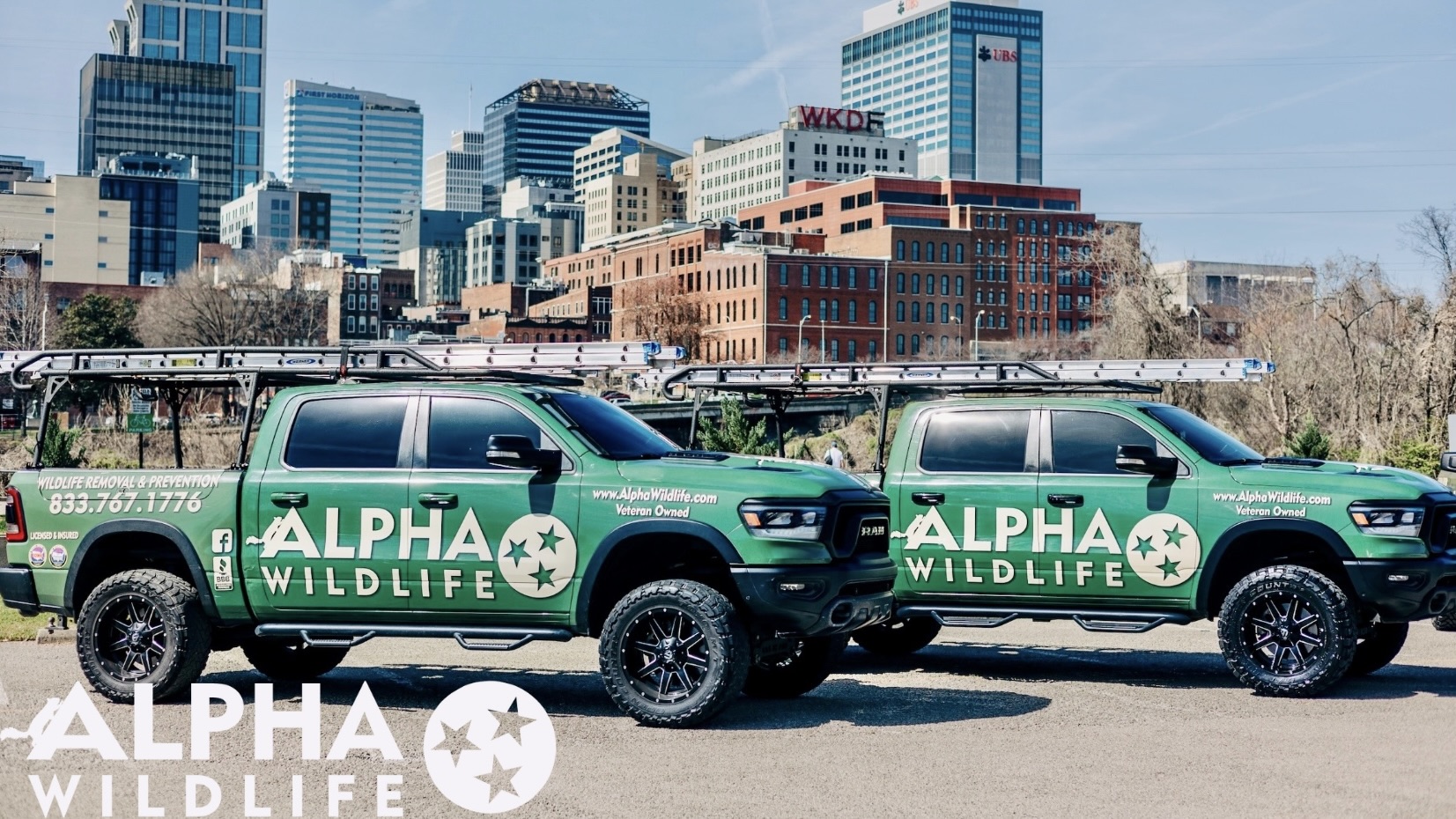 Alpha Wildlife Louisville Image