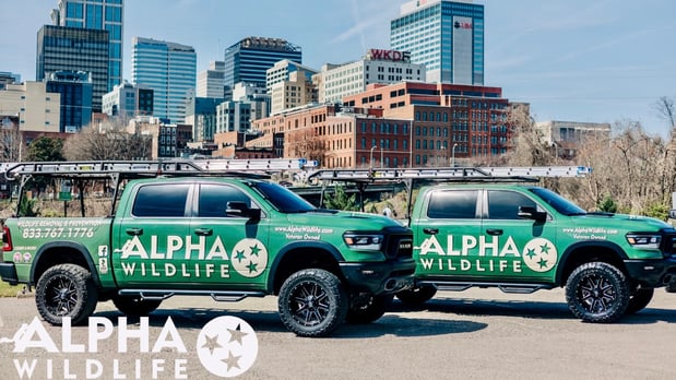 Images Alpha Wildlife Louisville