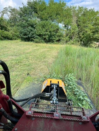 Images RED'S Forestry Mulching