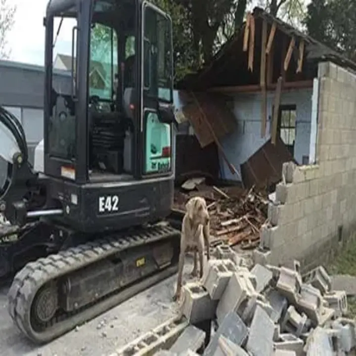 Images Mark Franchi Demolition