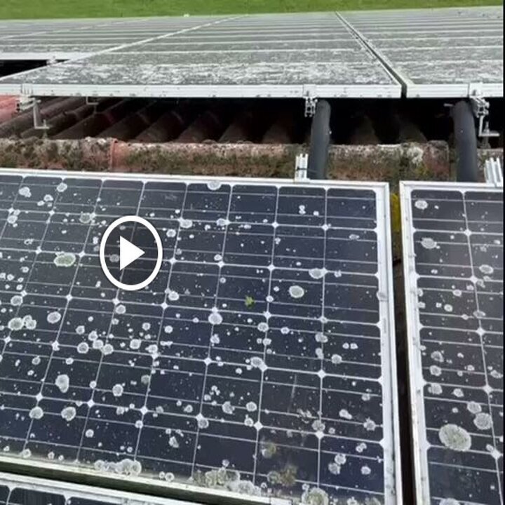 Photovoltaik- & Gebäudereinigung Frank Galley, Glücksburger Straße 7 in Mittelangeln