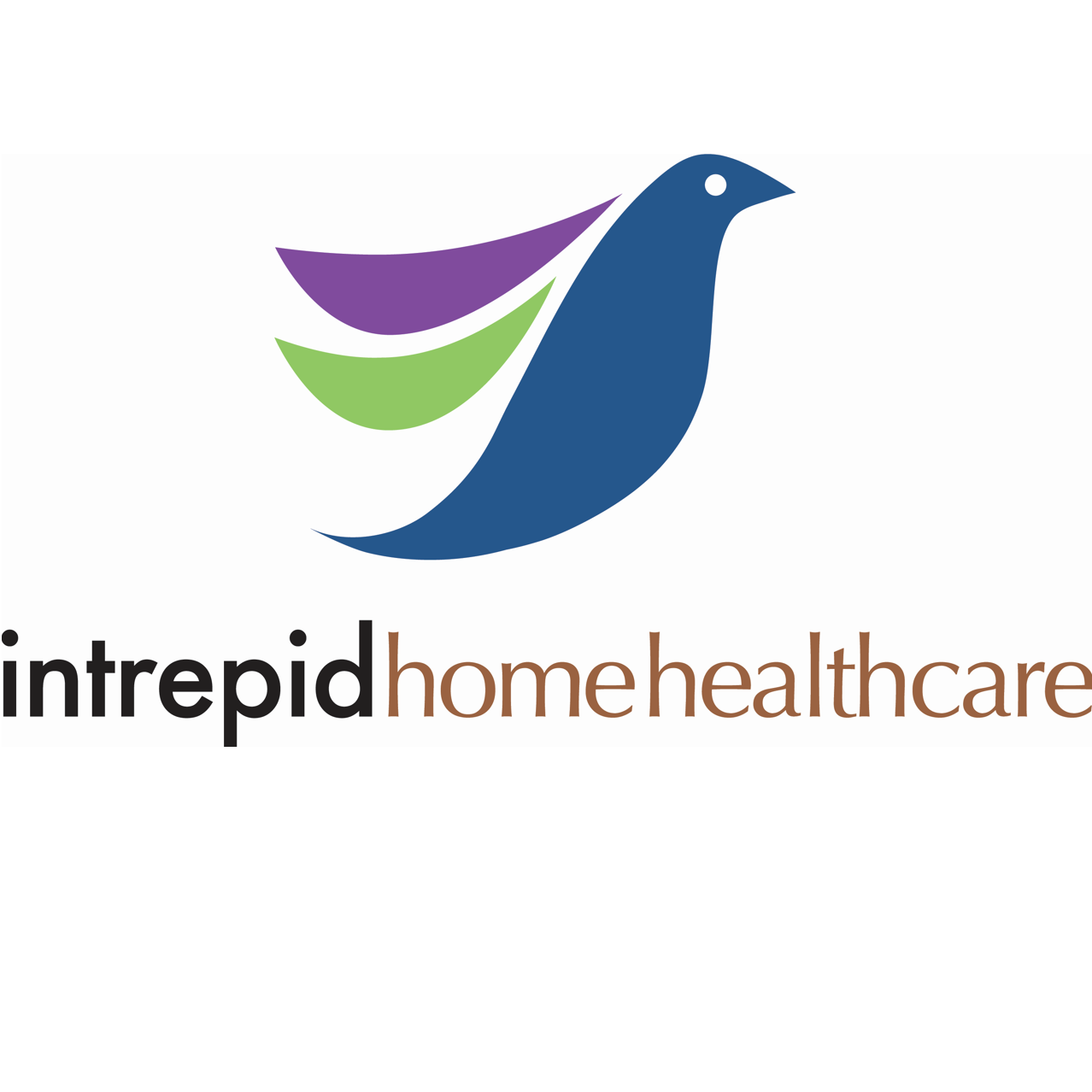 Intrepid USA Healthcare Services Logo