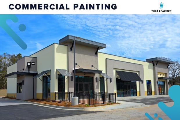 Images That 1 Painter Houston