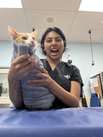 Images VCA Oak Hills Animal Hospital