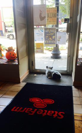 Images Teresa Chapman - State Farm Insurance Agent