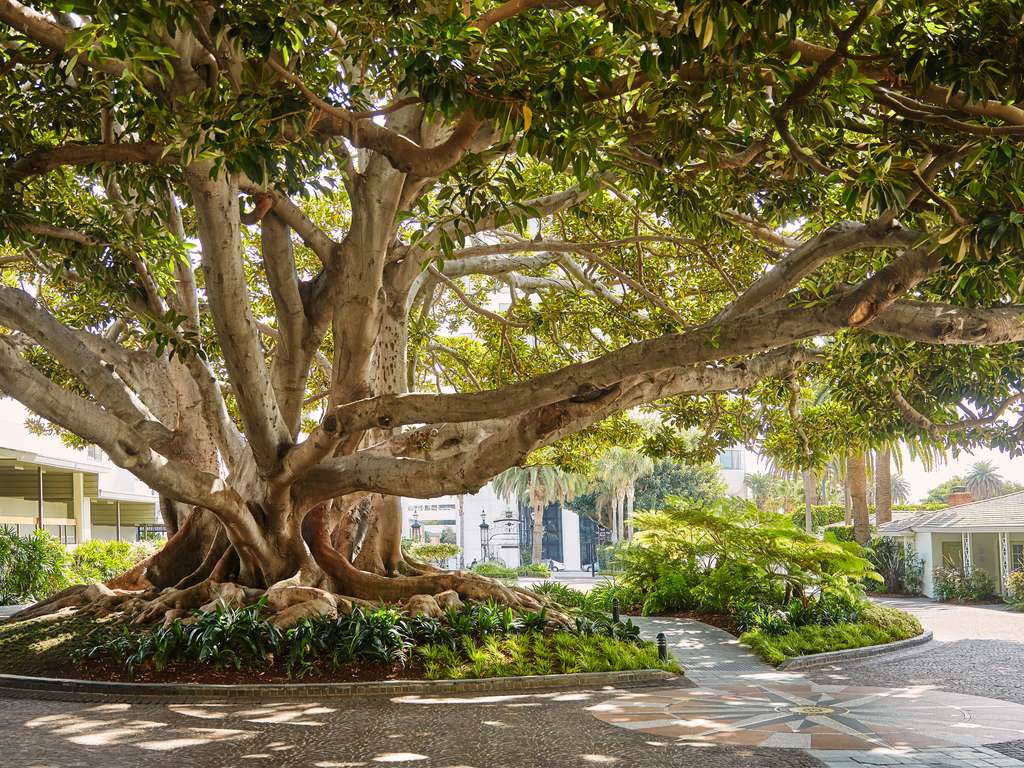 Fairmont Miramar - Hotel & Bungalows