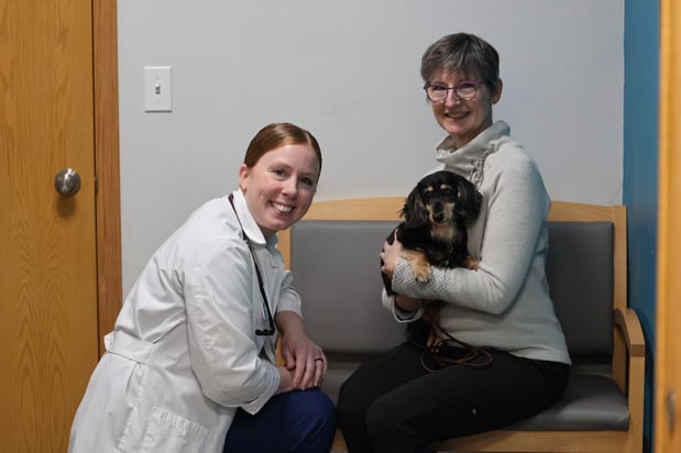 Images VCA Marshalltown Animal Hospital - CLOSED