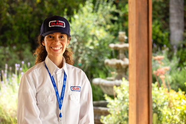 Images Clark Pest Control