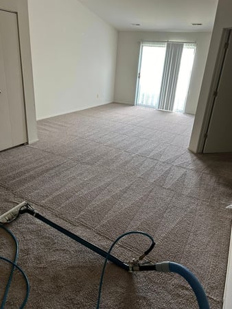 Images Plymouth Carpet Services