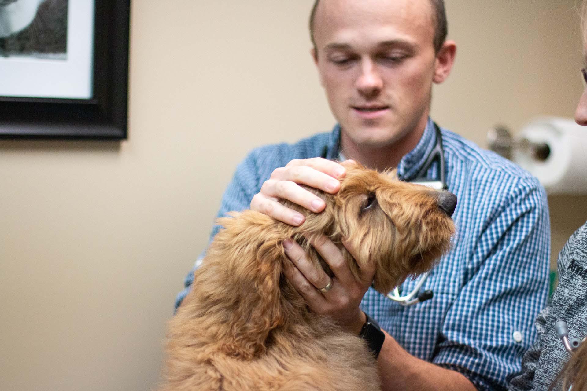 This pup did great for his physical exam with Dr. Ben Lamp!