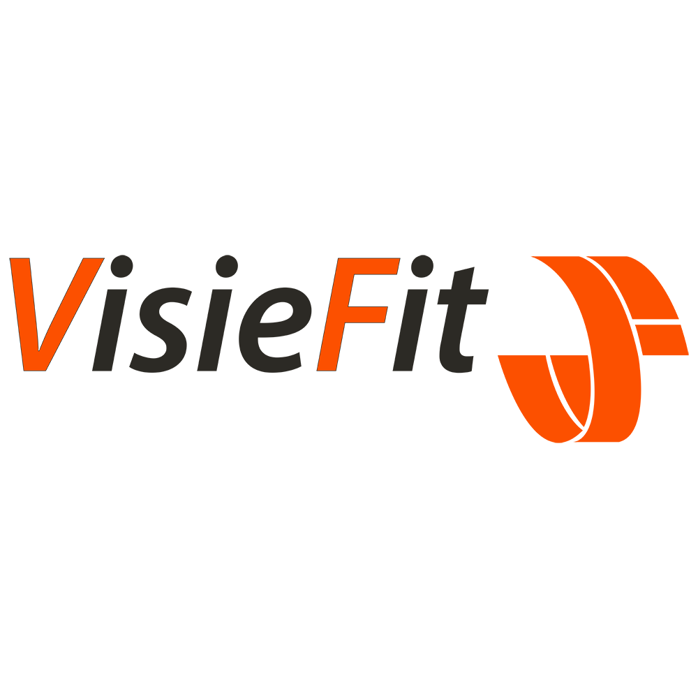 Fysiotherapiepraktijk VisieFit Logo
