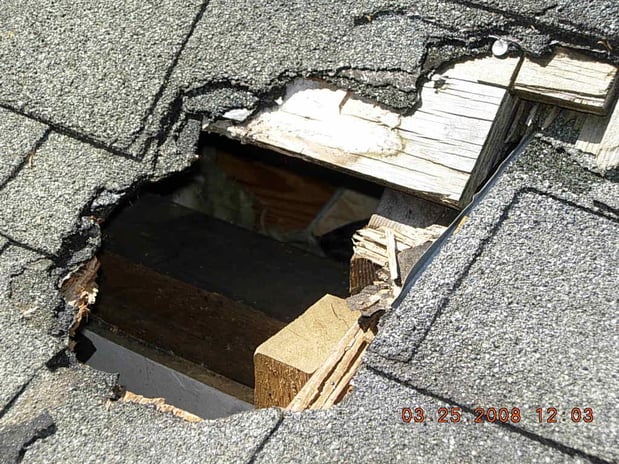 Images Covenant Wildlife