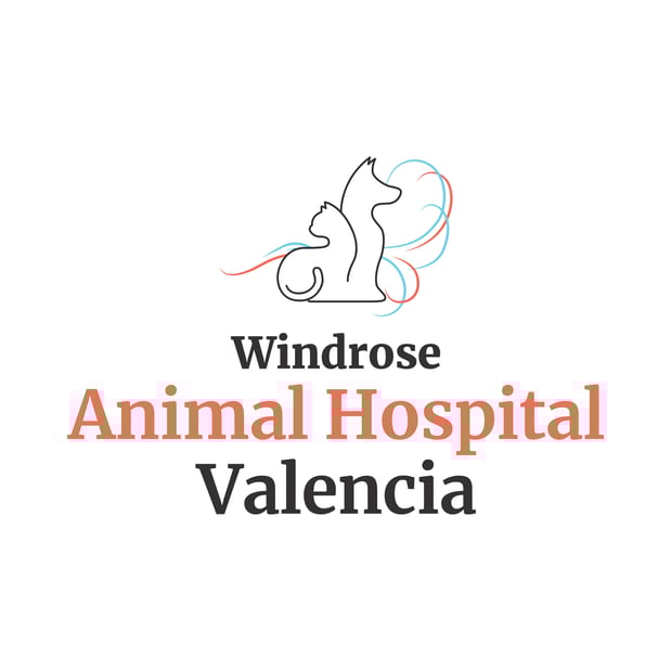 Images Windrose Animal Hospital Valencia