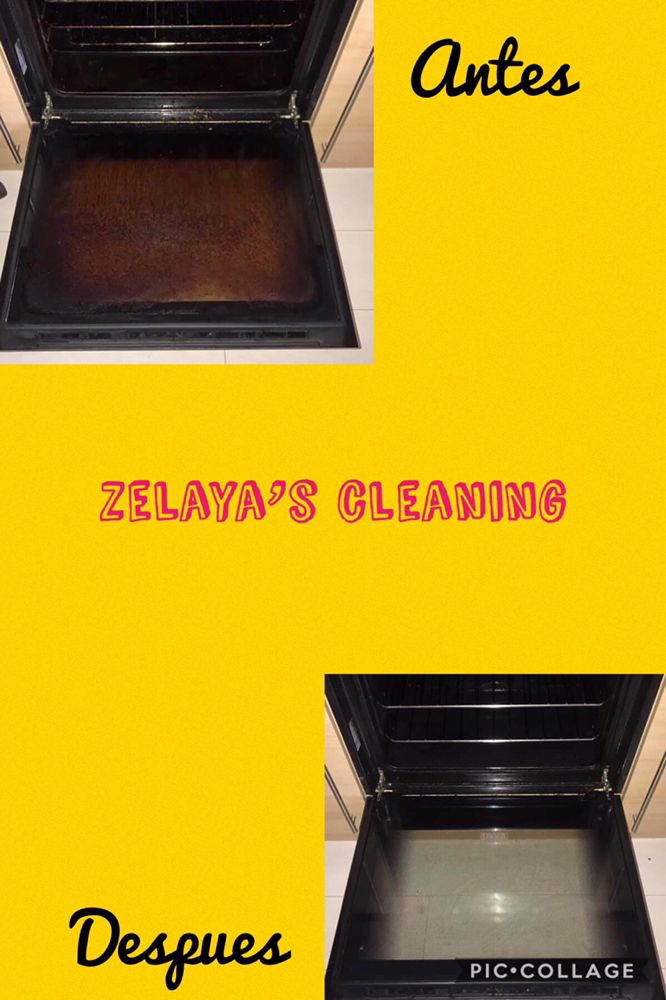 Zelaya Cleaning Service Photo