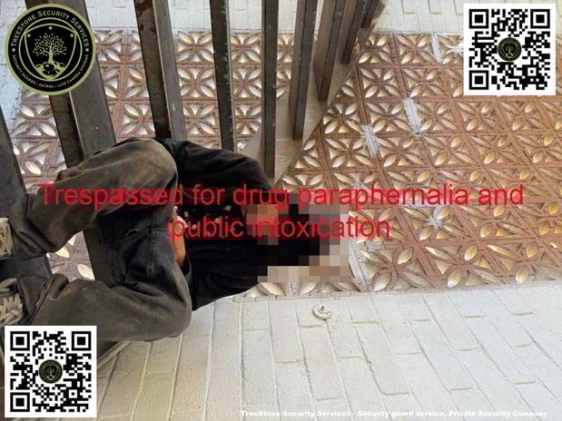 Images TreeStone Security Services