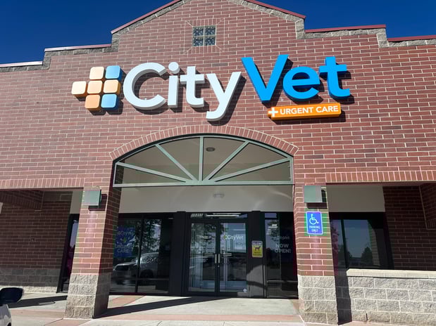 Images CityVet | Westminster Veterinary Clinic & Urgent Care