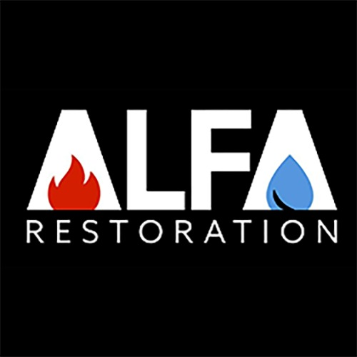 company logo