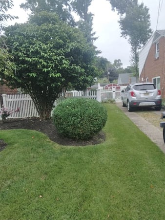 Images Mickey's Landscaping & Tree Removal