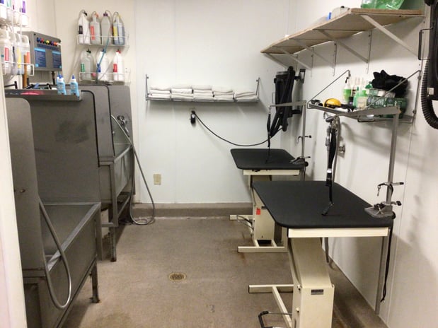 Images Petco Grooming