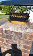 Images Steve Chimney