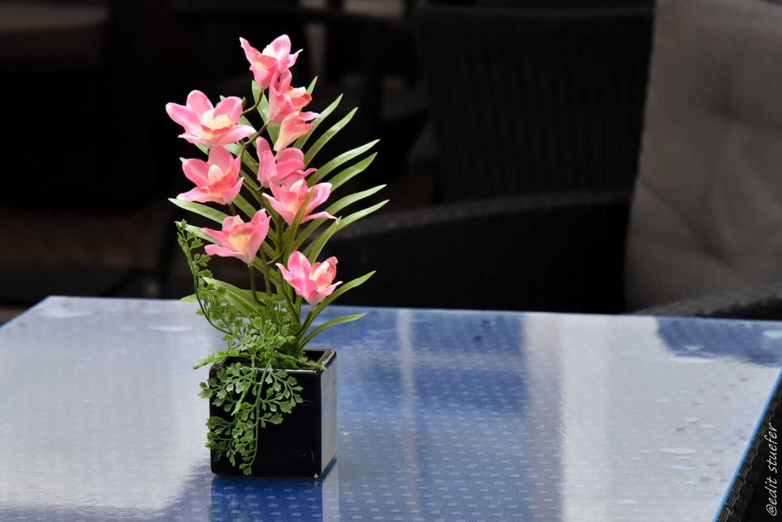 Pizzeria Vesuvio, Hassauerstraße 76/77 in Rattenberg