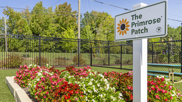 Images Primrose School of Apex