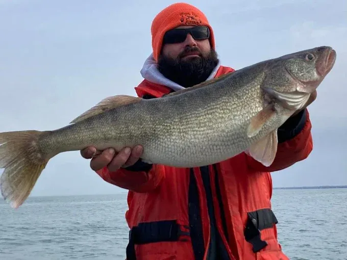 Images Sir Walleye Charters
