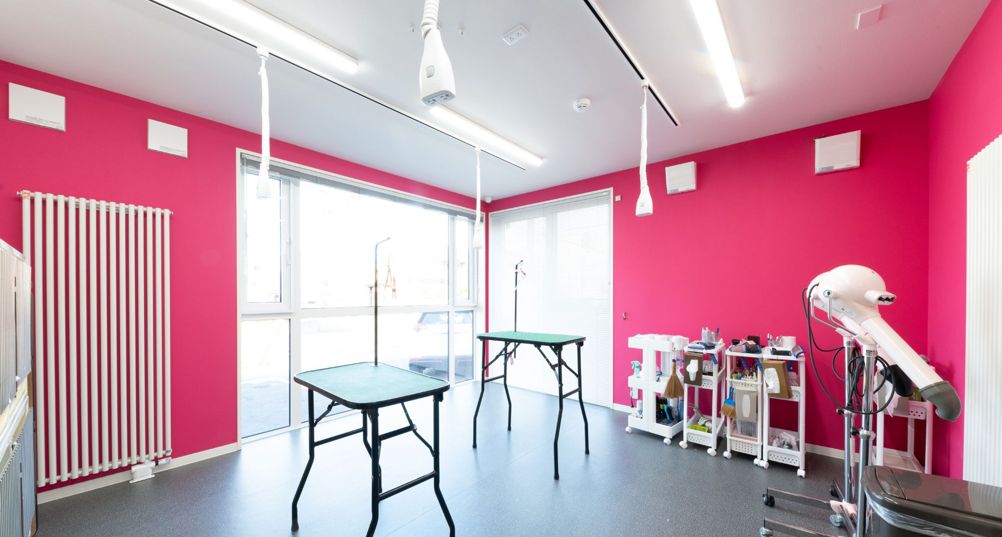 Images アイリス動物医療センター