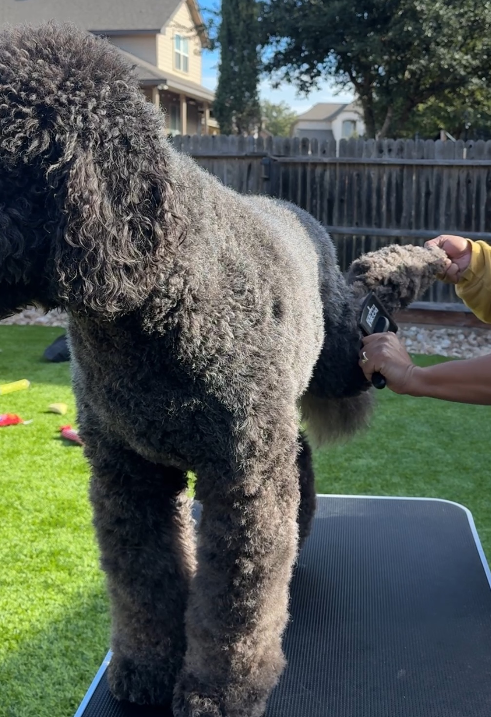 Doodle Me This Kingston and Hamilton LLC Image