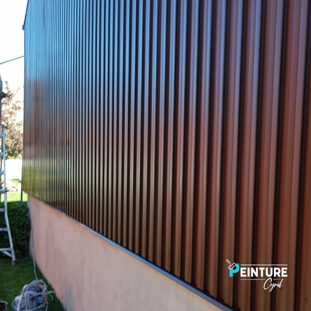 Images Peinture Cyril