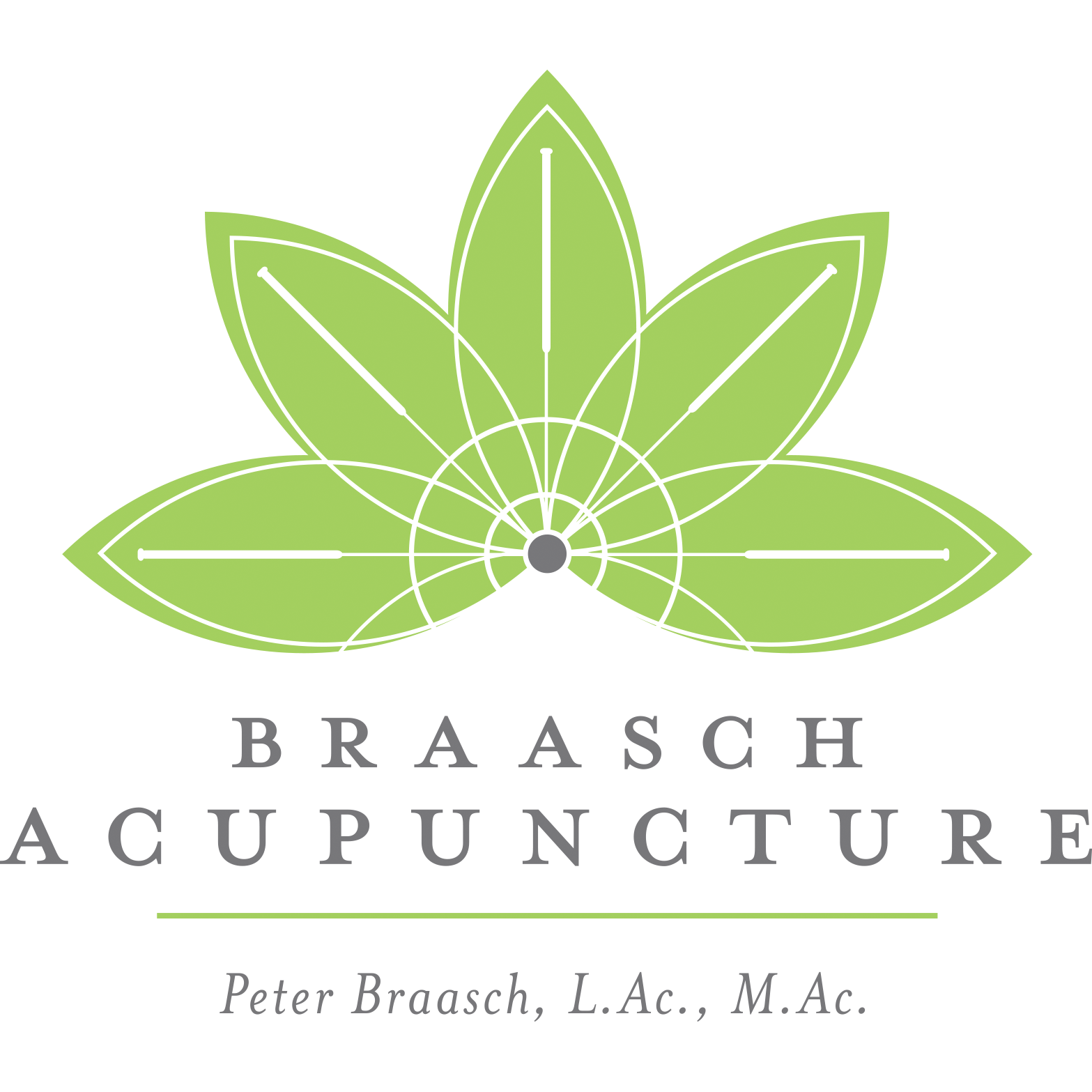 Braasch Acupuncture Pittsburgh (412)400-8135