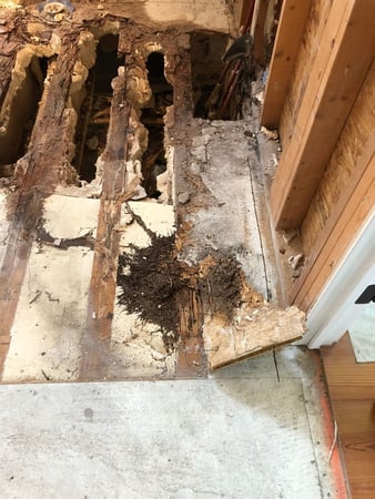 Images Charleston Termite Repair Specialists