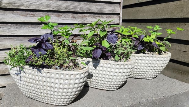 Images Northwest Landscape Supply